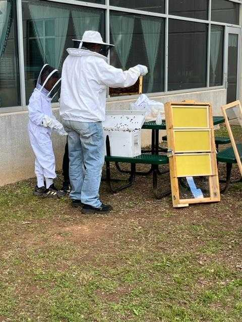 Bee Ambassadors transferring the new hive